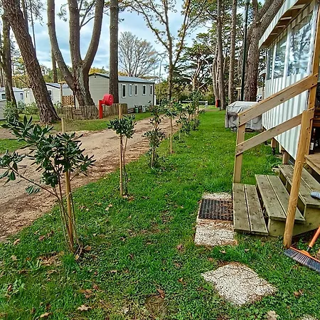 Mobil 6 Personnes Et Pins 피리악-쉬르-메르