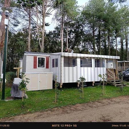 Mobil 6 Personnes Et Pins 캠프장 피리악-쉬르-메르