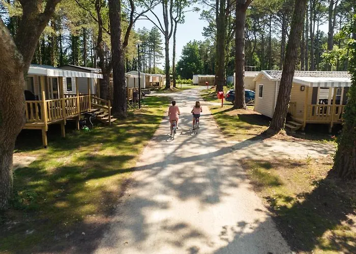 캠프장 Mobil 6 Personnes Et Pins *