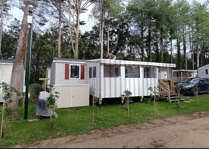 Mobil 6 Personnes Et Pins 캠프장 피리악-쉬르-메르