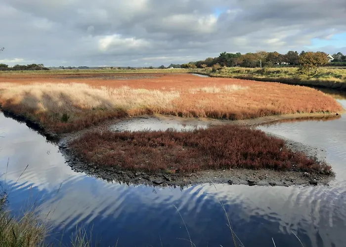 Mobil 6 Personnes Et Pins 캠프장 피리악-쉬르-메르