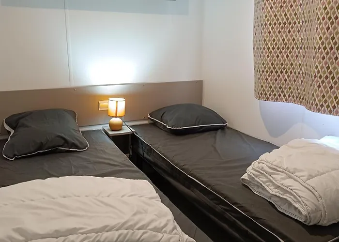 Mobil 6 Personnes Et Pins 캠프장