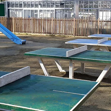 Campsite Mobil 6 Personnes Et Pins