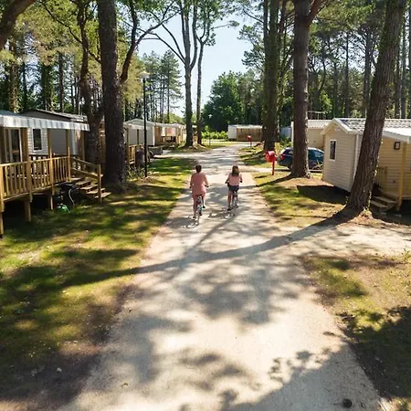 Campsite Mobil 6 Personnes Et Pins *