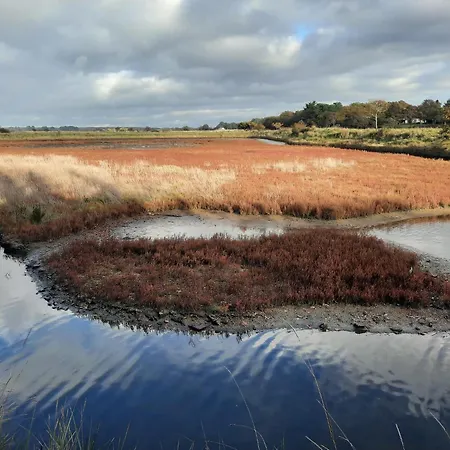 Mobil 6 Personnes Et Pins Campsite Piriac-sur-Mer